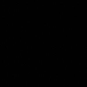 Meet your Posher, Isamara